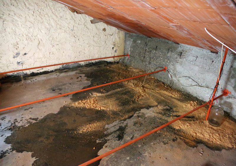 Attic Water Damage Repair in Denver, CO