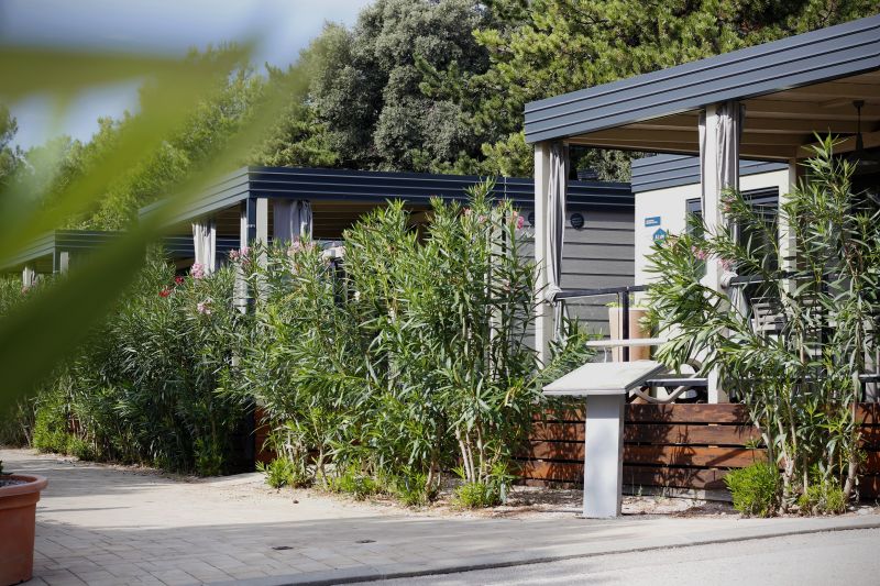 Eco-Friendly Options